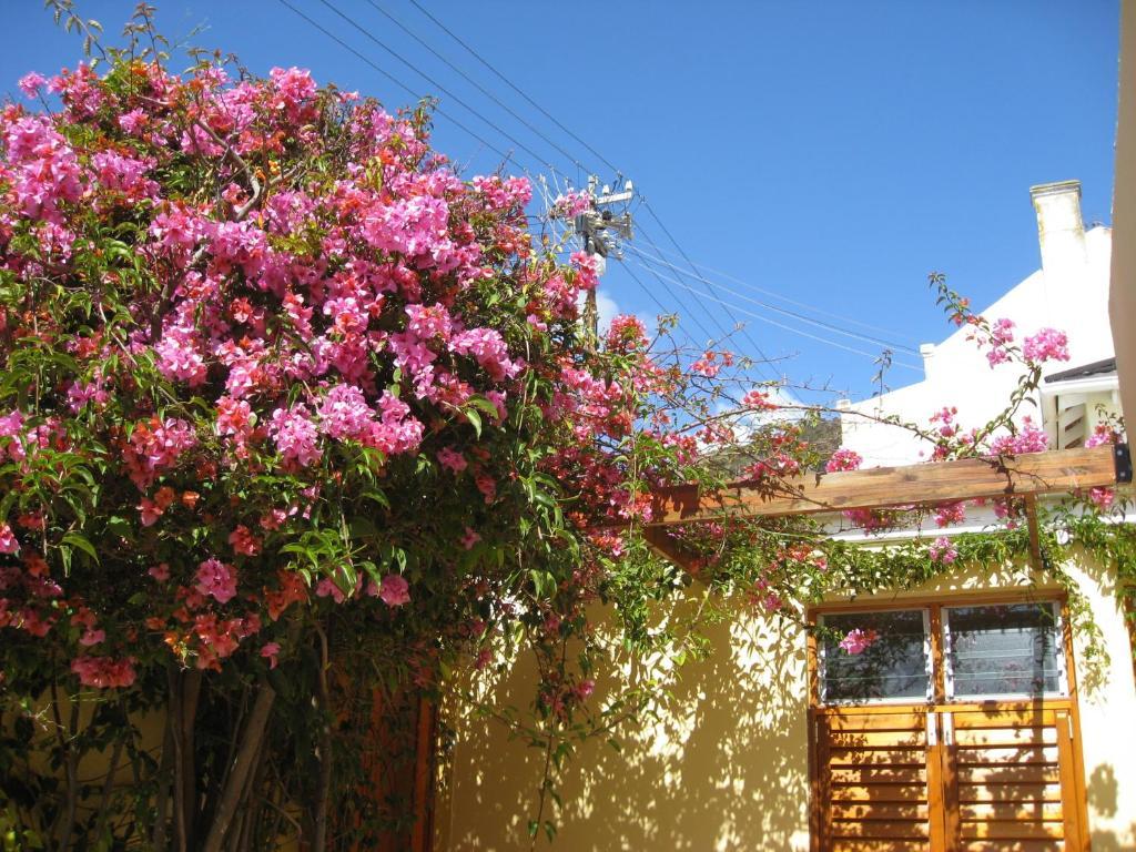 Guest house Loloho 4*