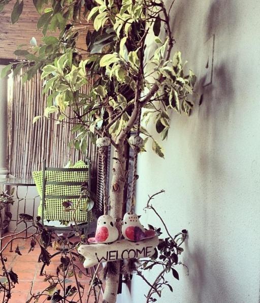 Harfield Guest Bed & Breakfast Cape Town