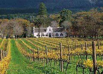 Silvermist Wine Estate Hotel