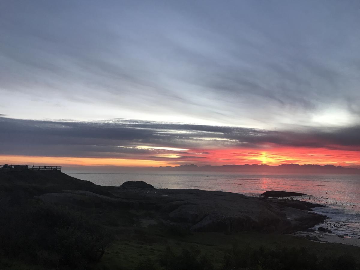 Oceans Drift (adults Only) Guest house 3*