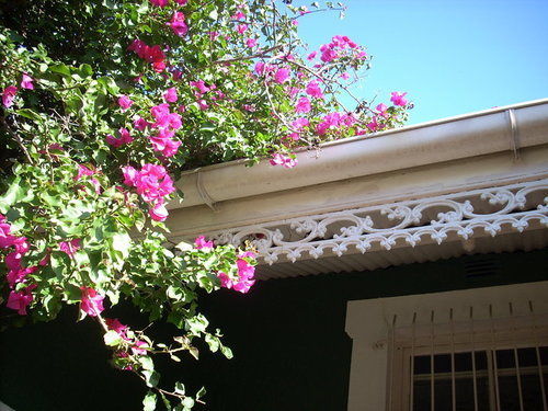 Hostel African Heart Backpackers *