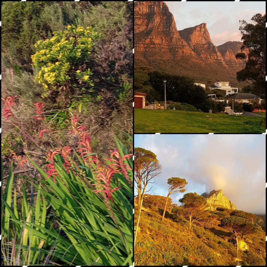 Apartment Camps Bay Garden Apartment