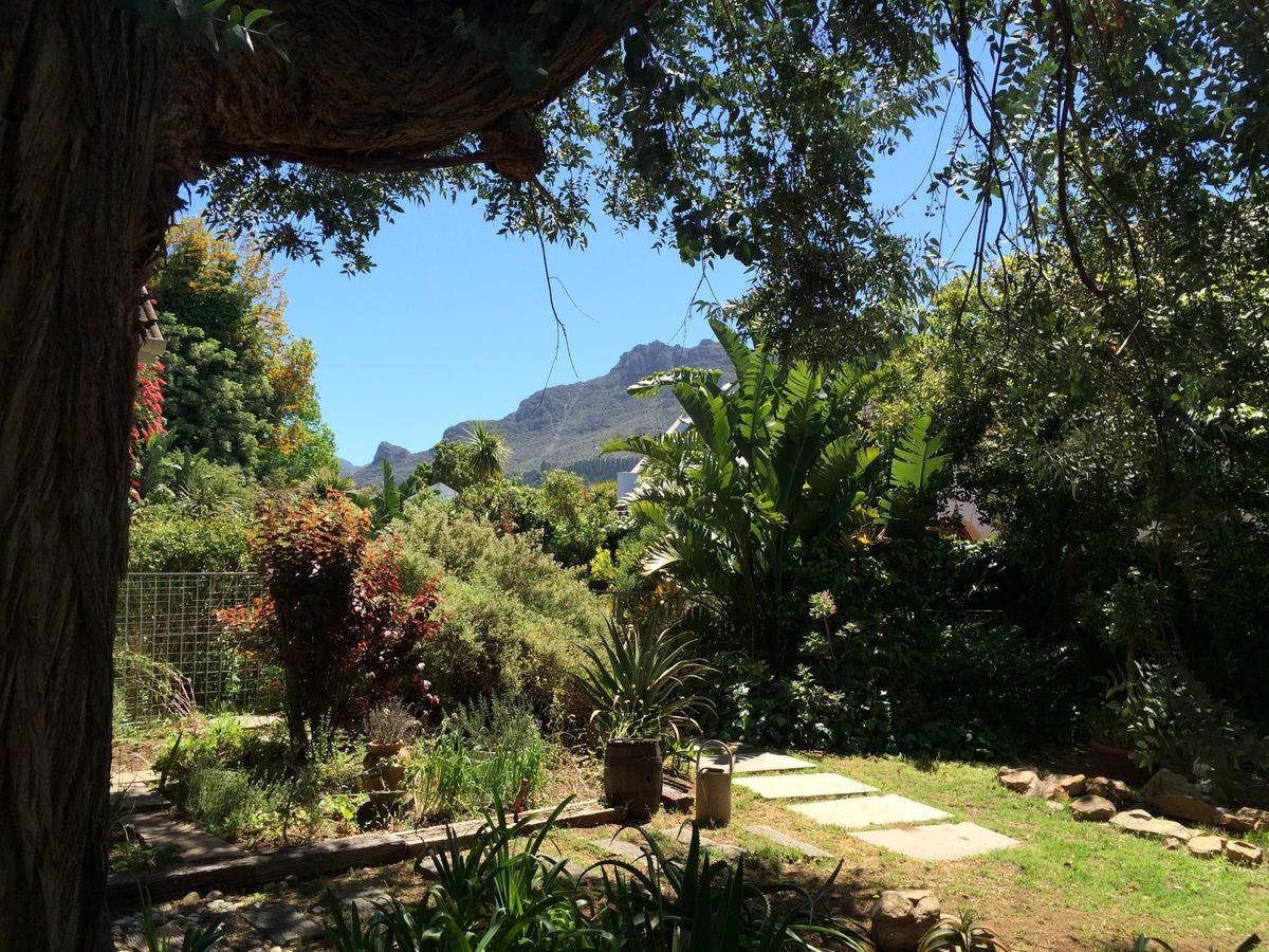 Constantia 2*