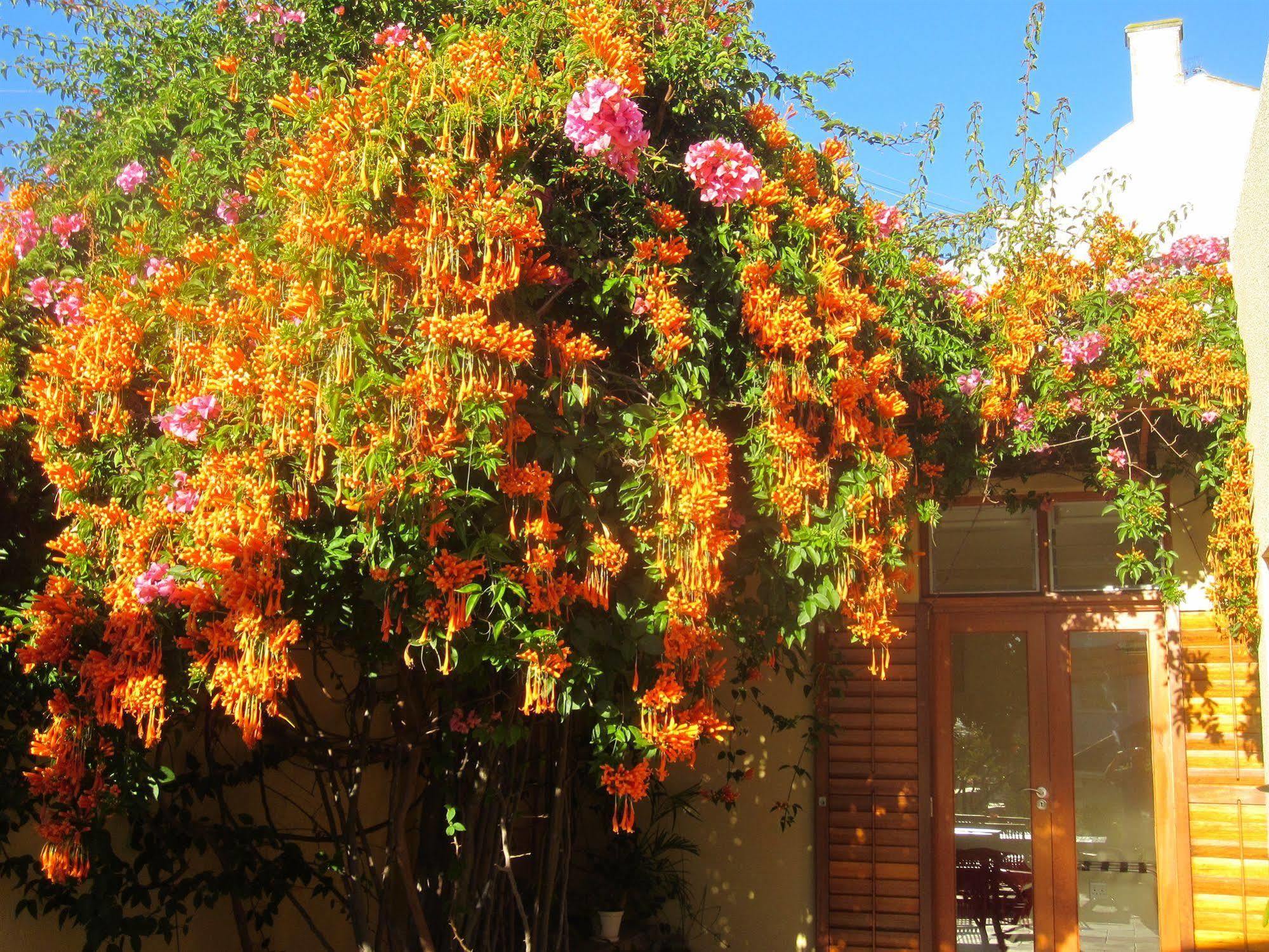 Loloho Guest house Cape Town