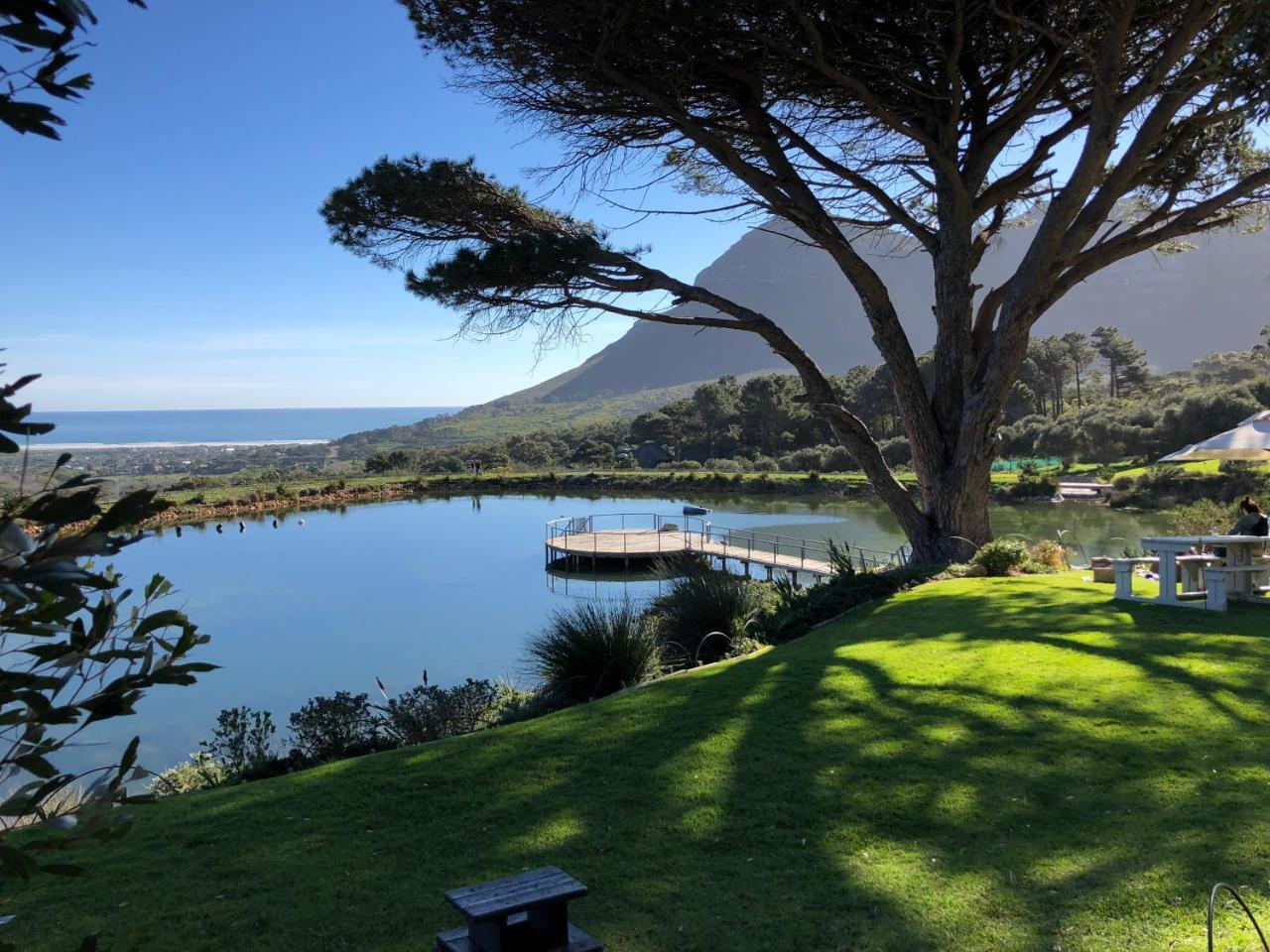 Sea Point Cape Town