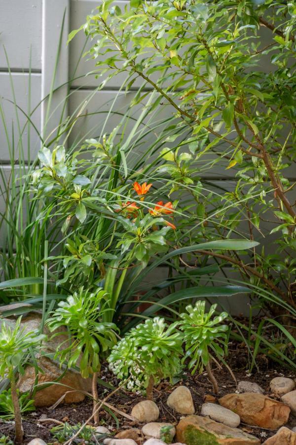 Camps Bay Garden Apartment * Cape Town