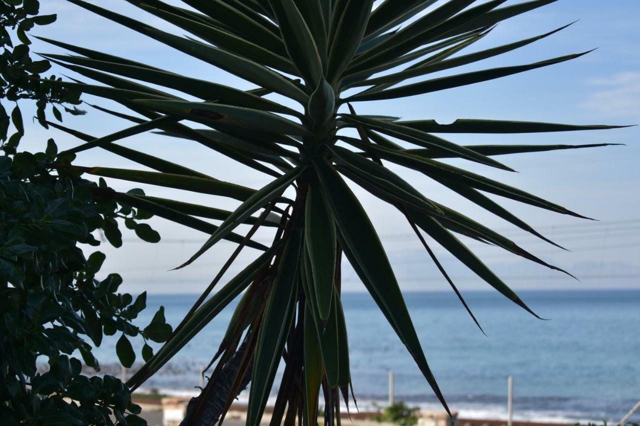 Apartment Sea Facing St James Terrace Cape Town