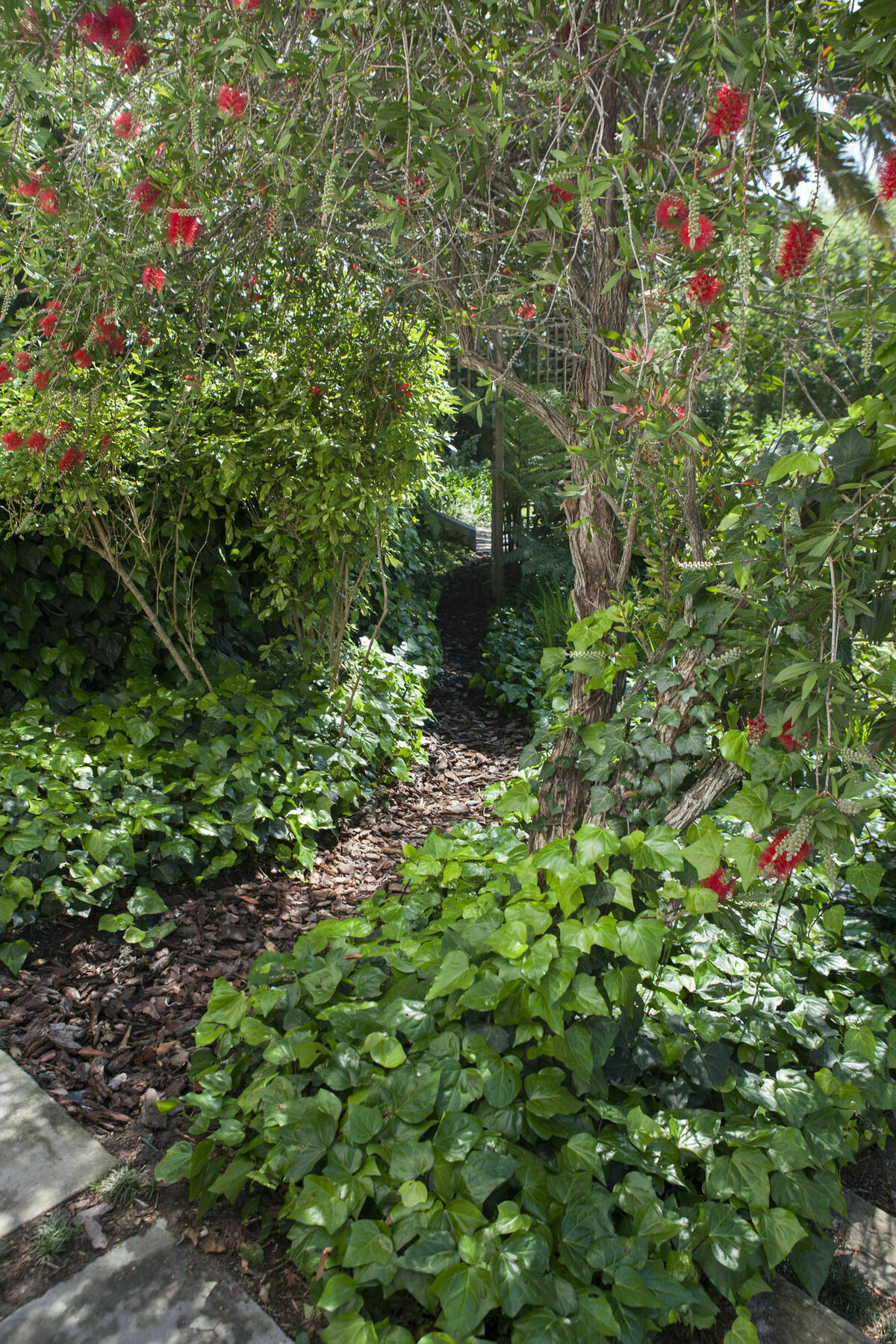 33 Strawberry Lane - And Cape Town