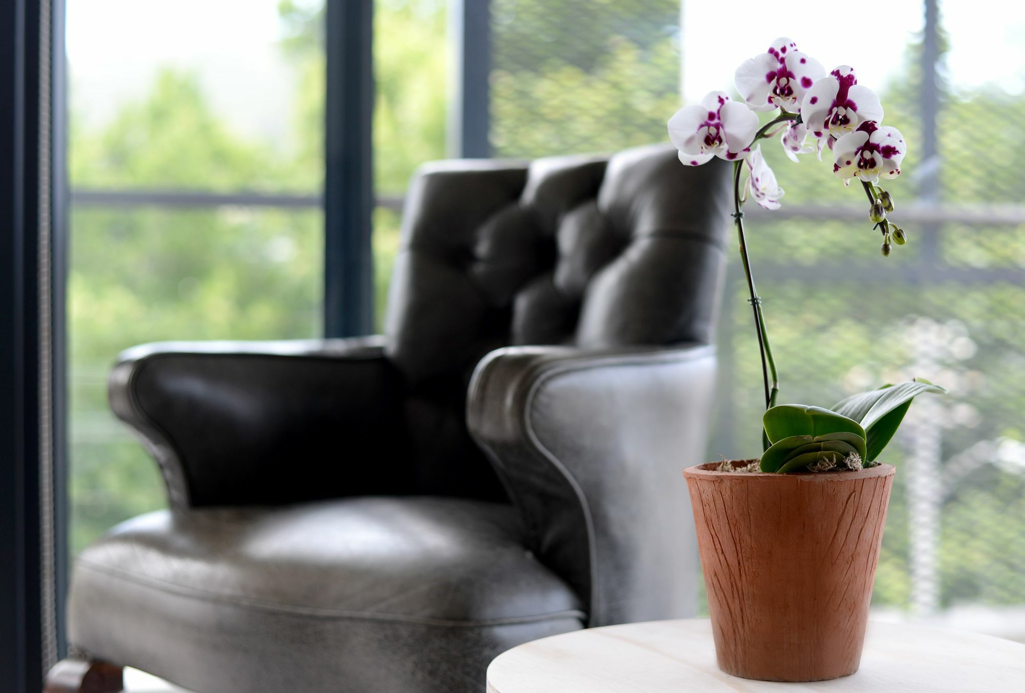 Diana By Amazing Apartment Cape Town