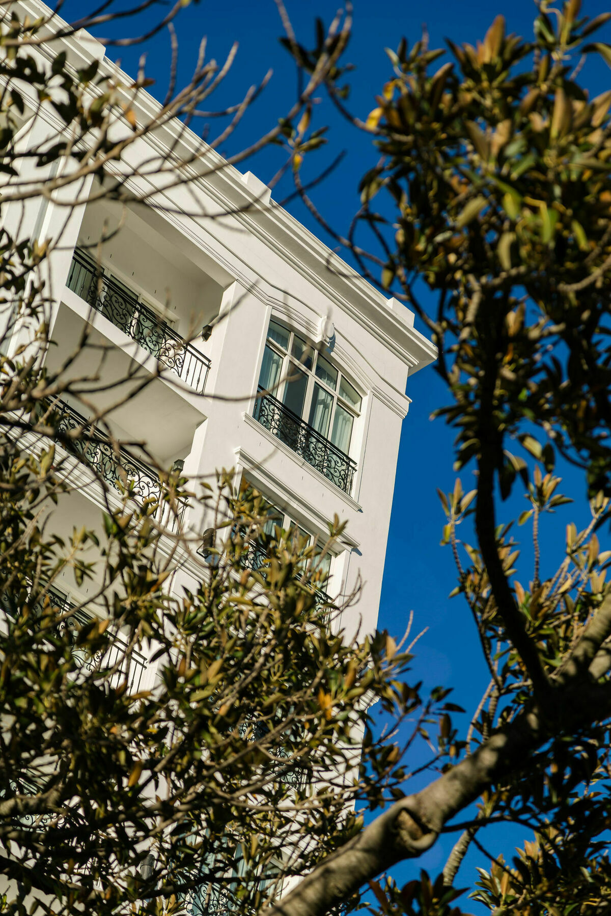 Versailles Luxury And Apartment