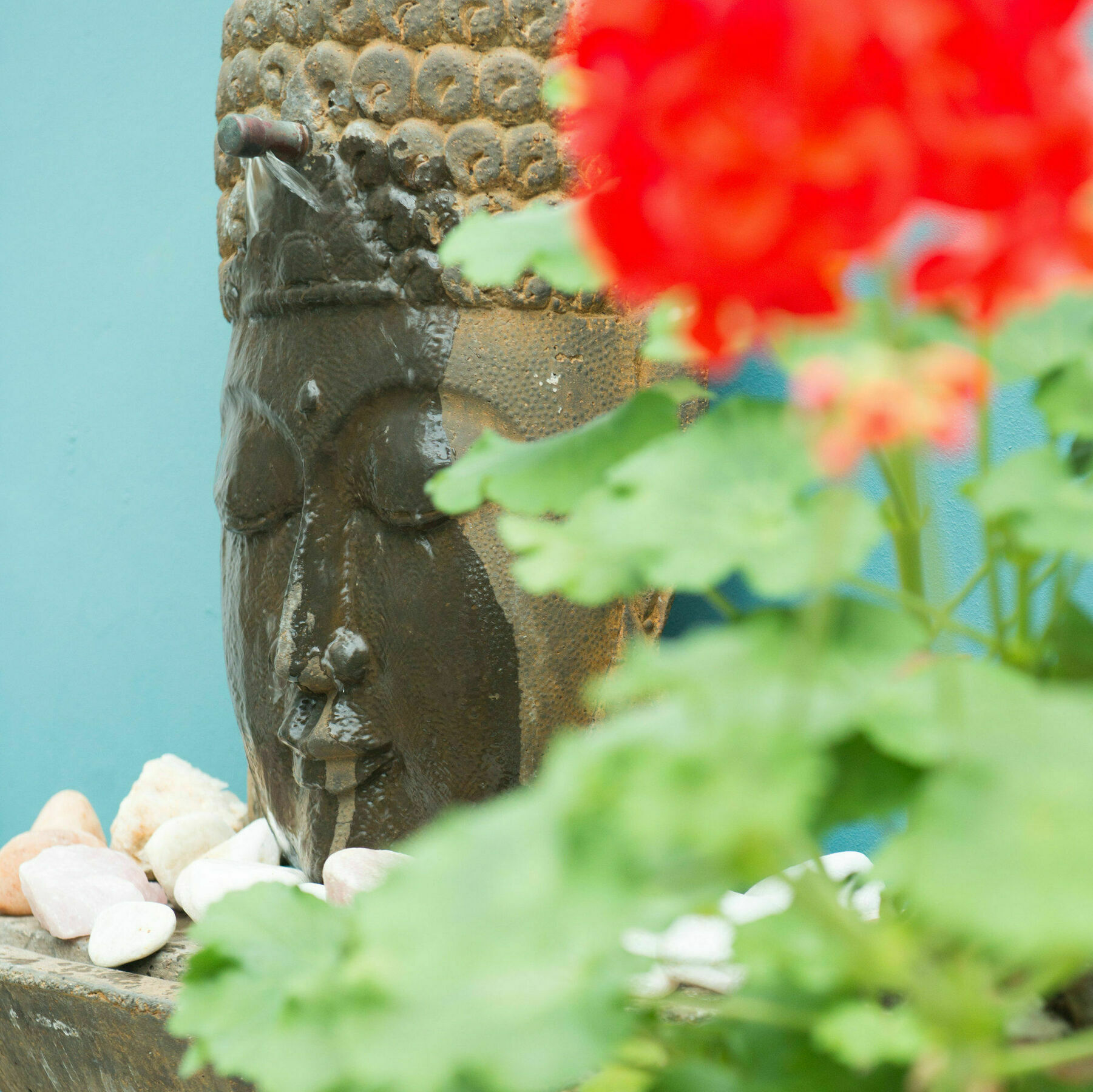 Avatara Guest house