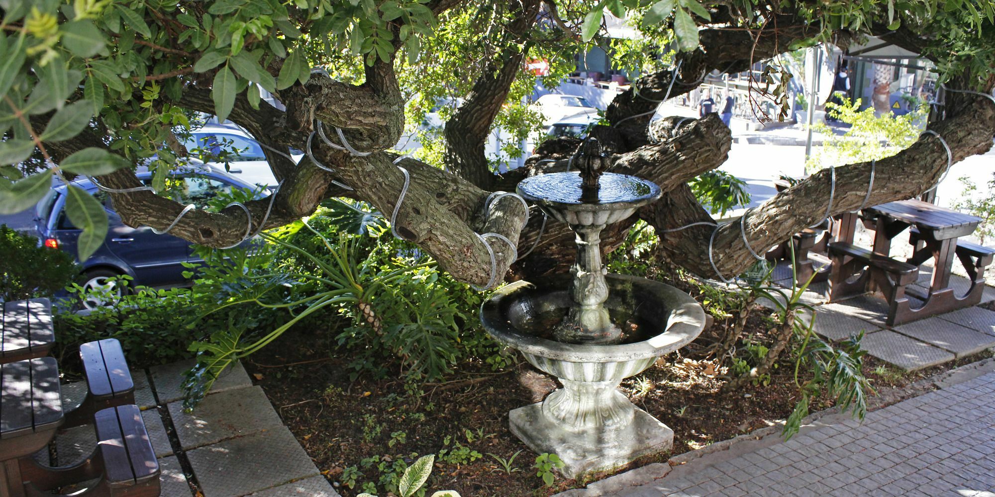 Guest house Dixon House In De Waterkant By Cape Finest Cape Town
