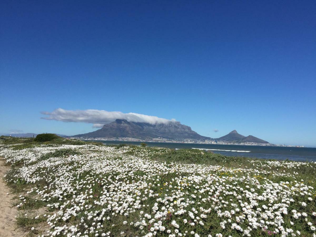 Sunset Links Golf Course At 23 Villa Cape Town