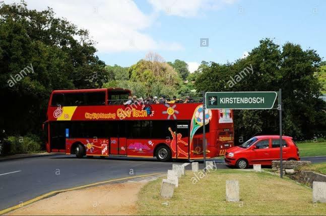 Kirstenbosch Forest 3* Cape Town