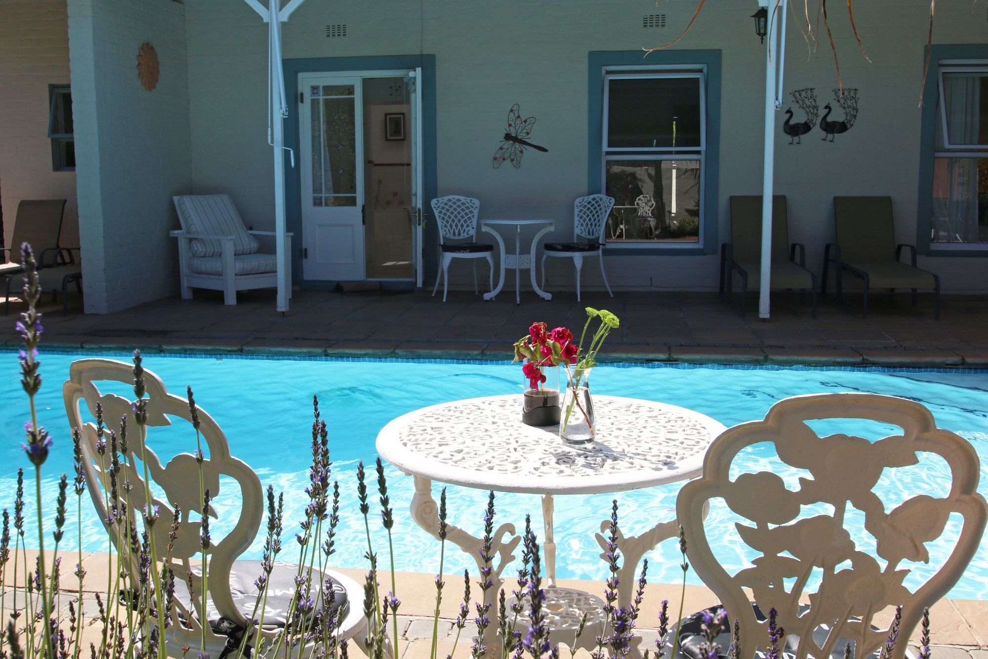 Paradiso Hotel Cape Town