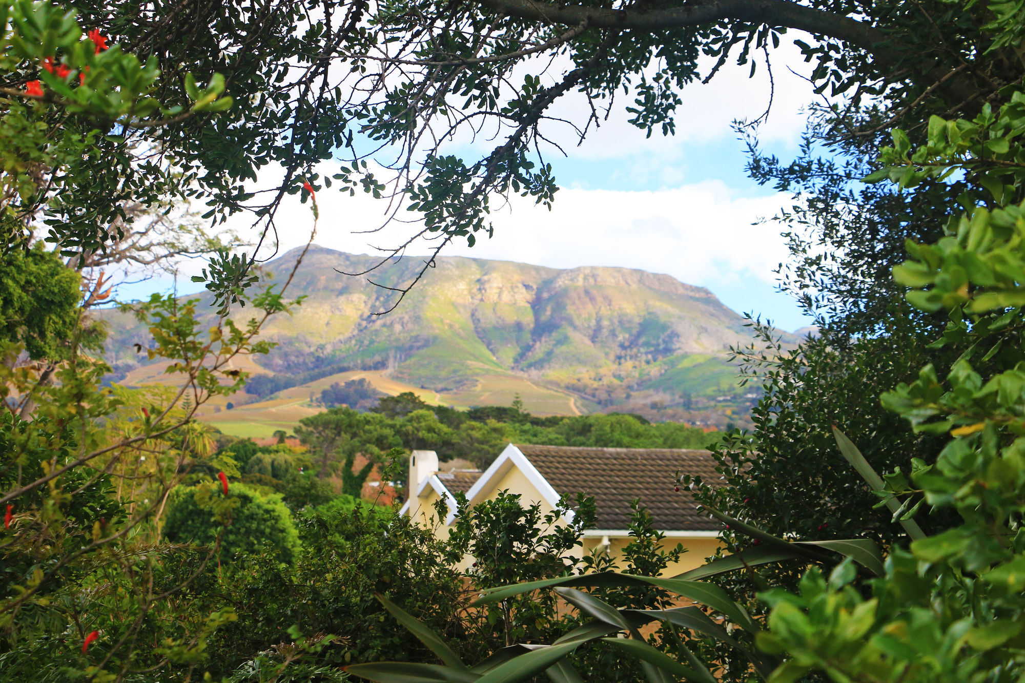 Paradiso Hotel Cape Town