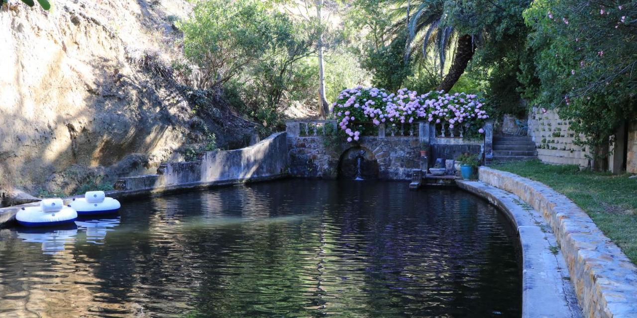 Bed & Breakfast Camps Bay Forest Pods Cape Town