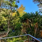 Zencapetown Forest Retreat
