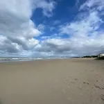 Red Coral At The Beach