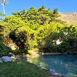 Zencapetown Forest Retreat
