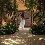 Botany House Boutique Retreat
