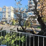 Table Mountain Views, Modern,Lots Of Natural Light, With Parking