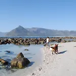 Blue Whale Surf Shack