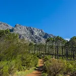 20 Belladonna Avenue Vredehoek Cape Town