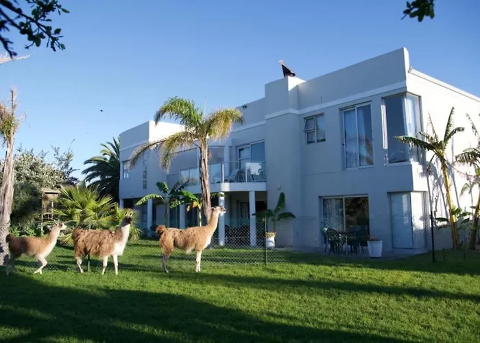 Lamabeach City Farm