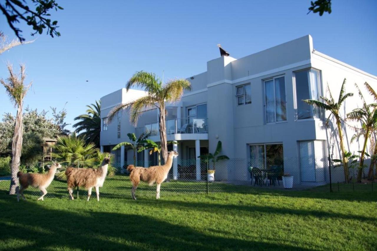 Lamabeach Farm *