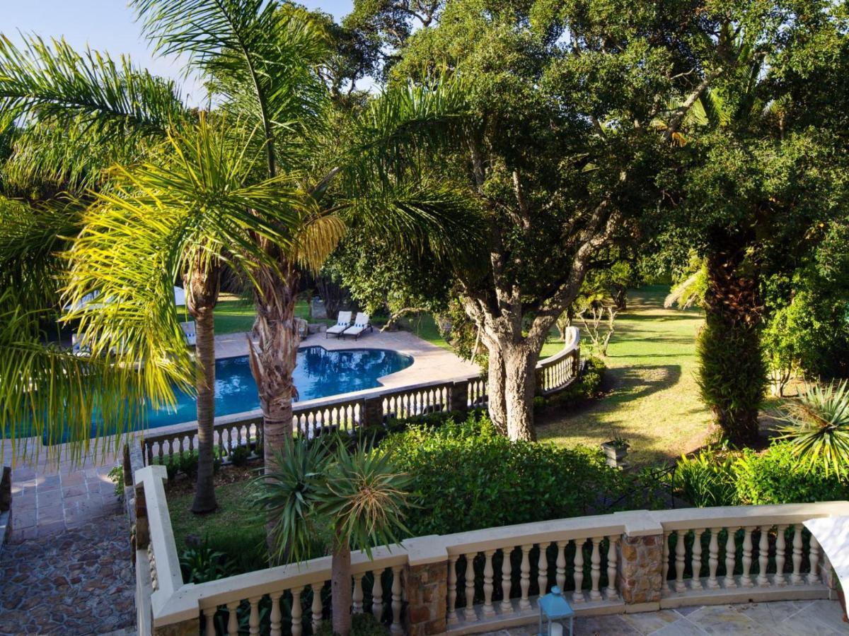 Apartment Aloe At Ibis House Cape Town