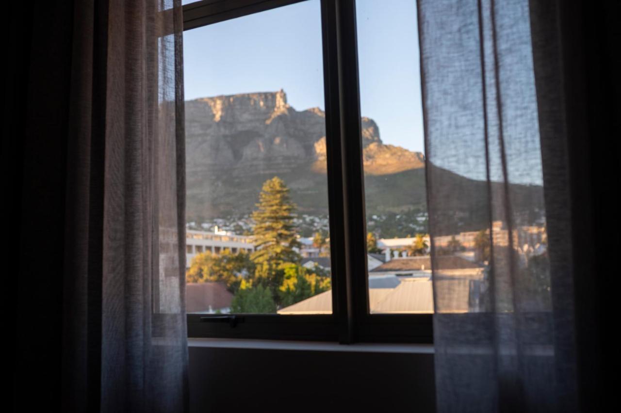 Kloof Street - Lion Roars &