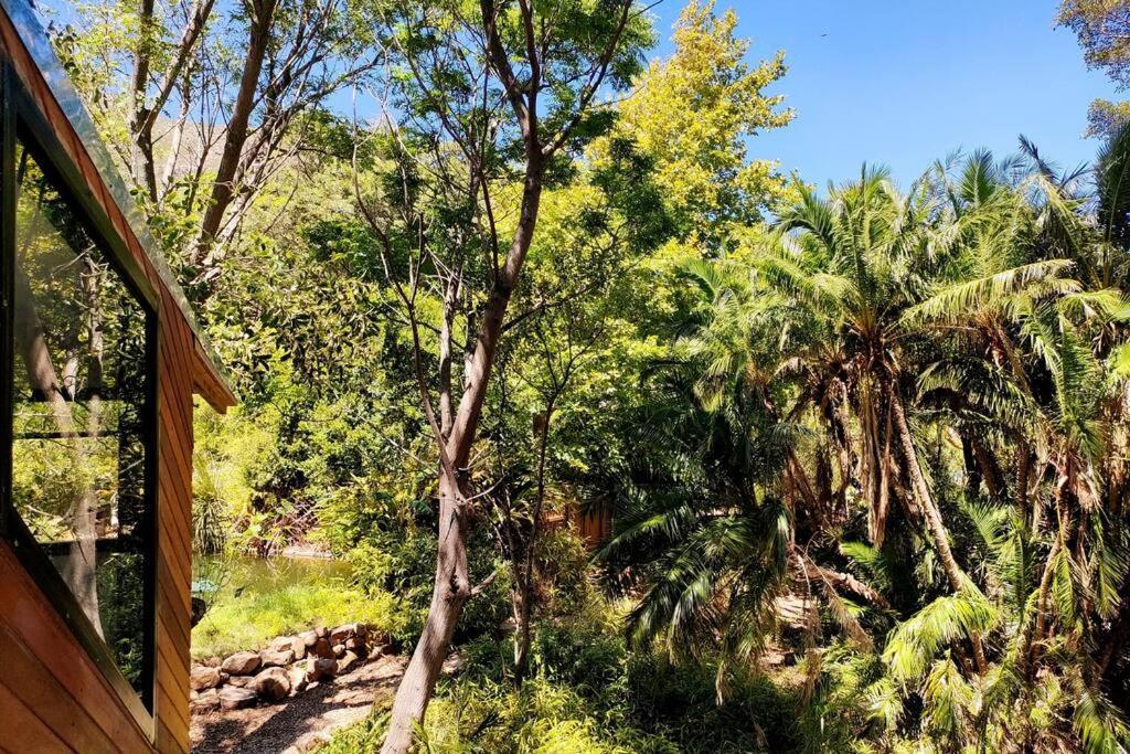 Zencapetown Forest Retreat * Cape Town
