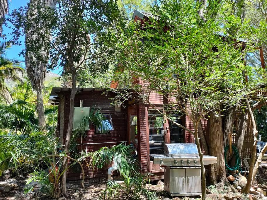 Zencapetown Forest Retreat Chalet