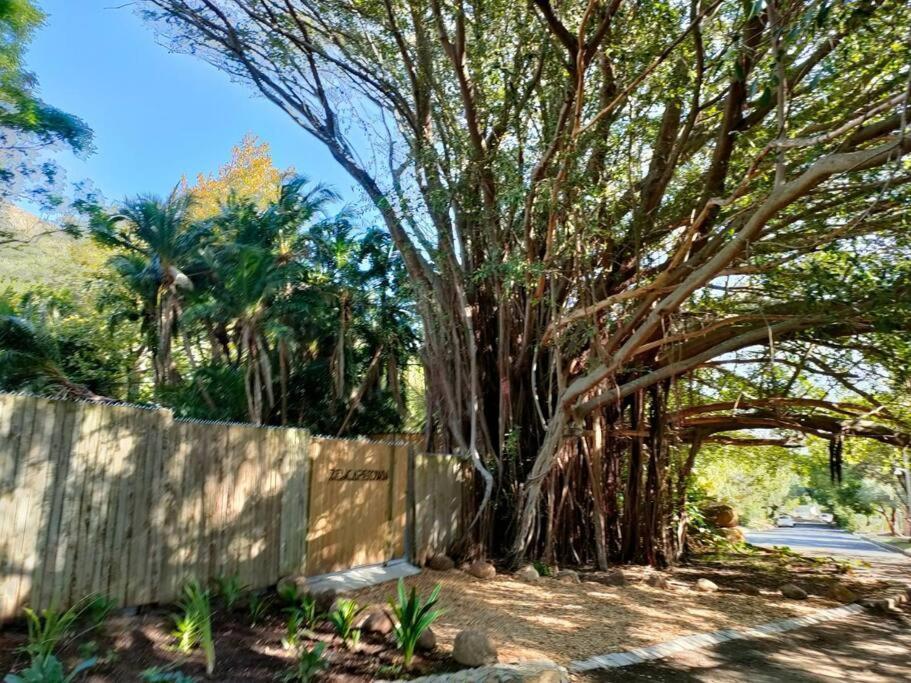 Zencapetown Forest Retreat Chalet Cape Town