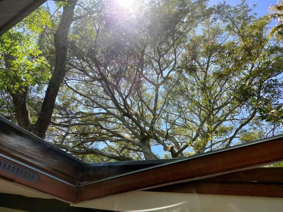 Zencapetown Forest Retreat Chalet