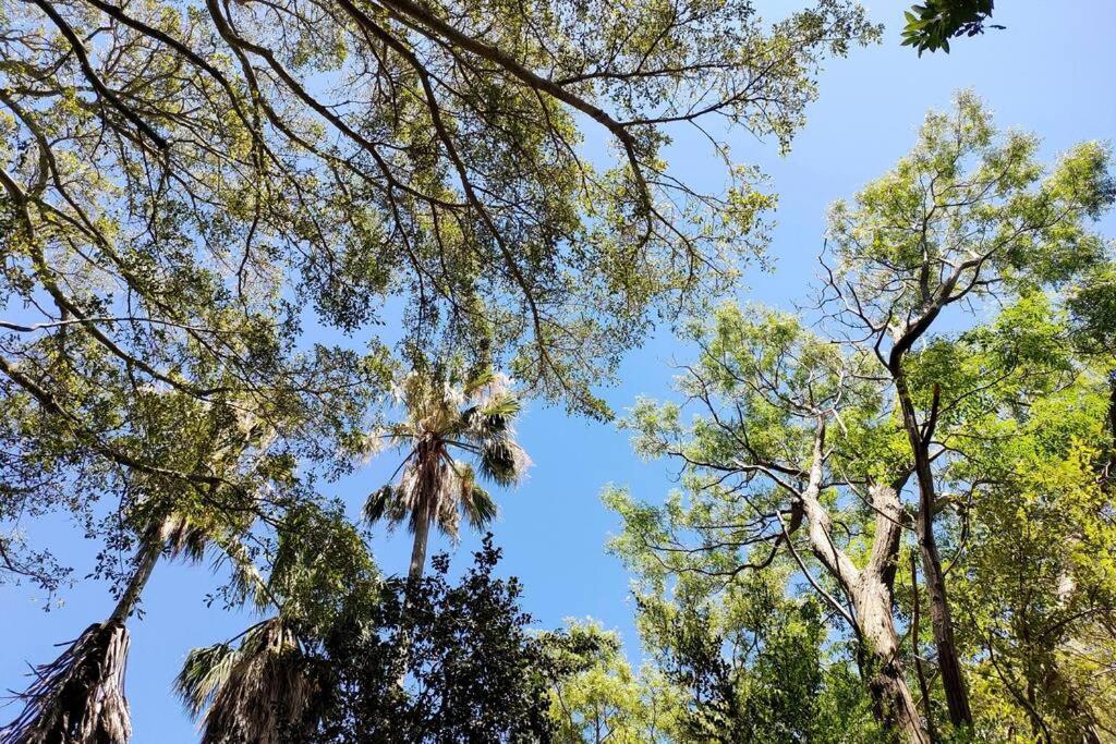 Zencapetown Forest Retreat *