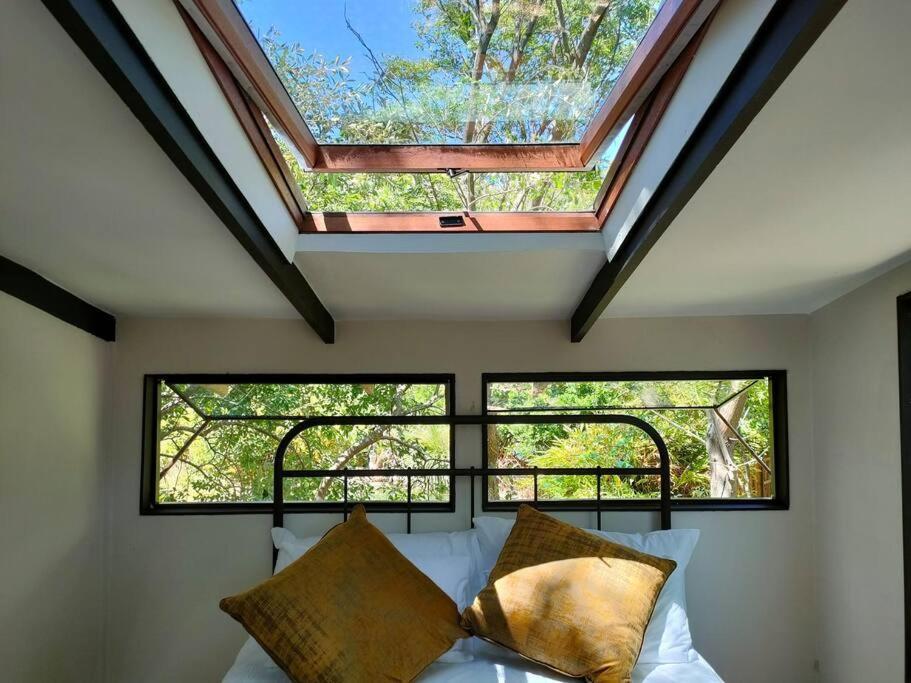 Chalet Zencapetown Forest Retreat Cape Town