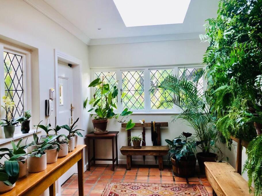 Idyllic Constantia Pousada