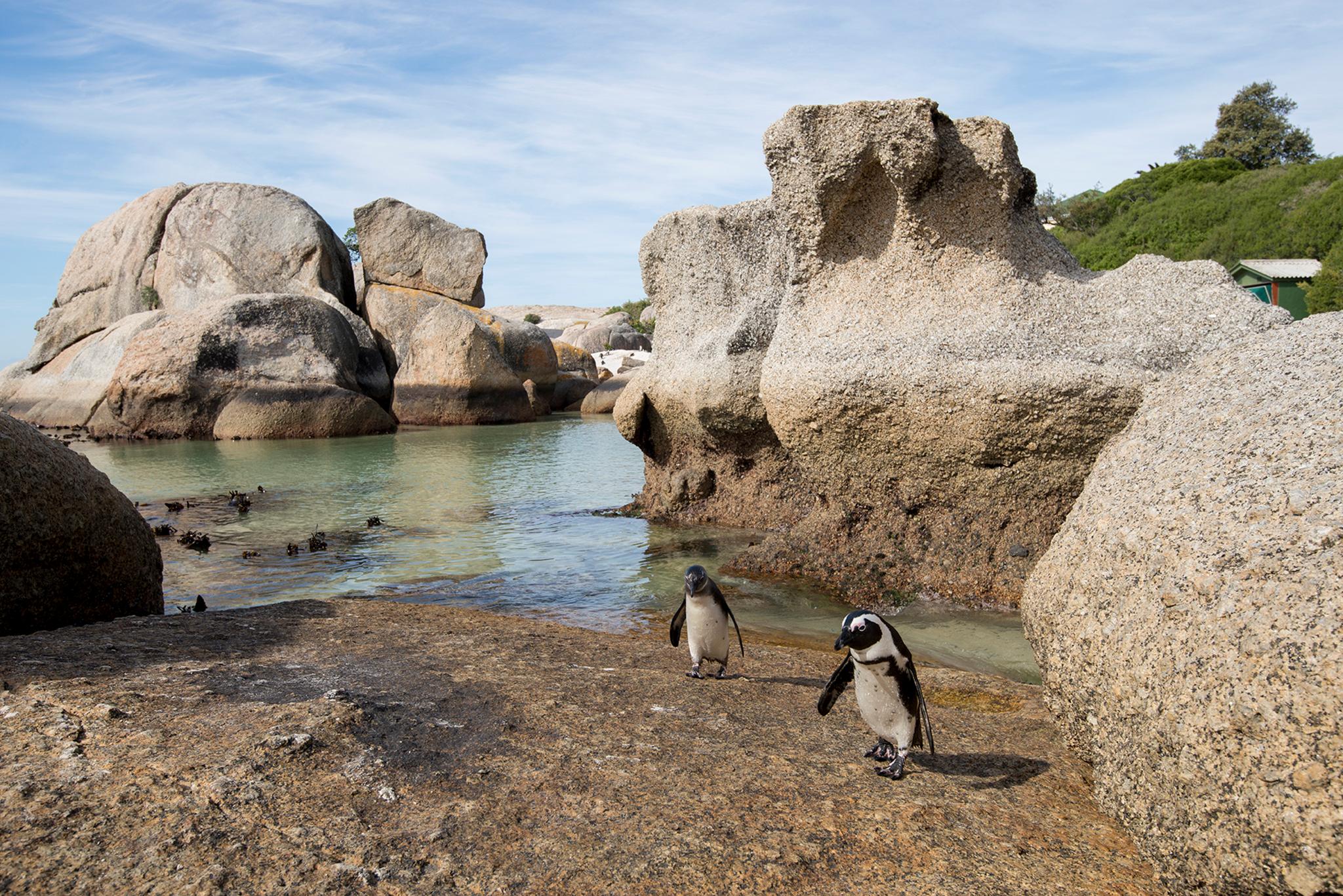 Cape Cadogan Boutique Cape Town