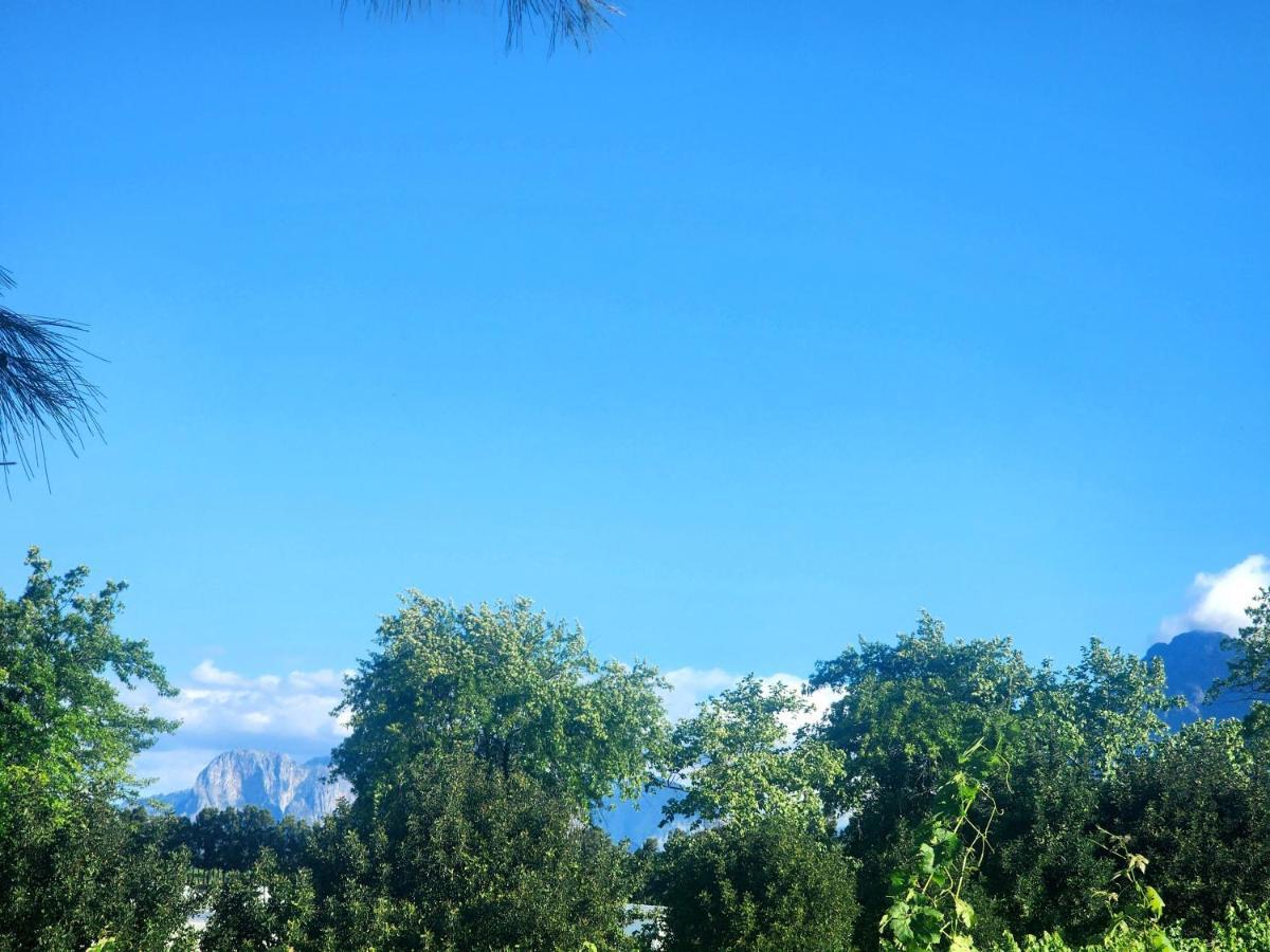 Mon Reve Estate Cape Town