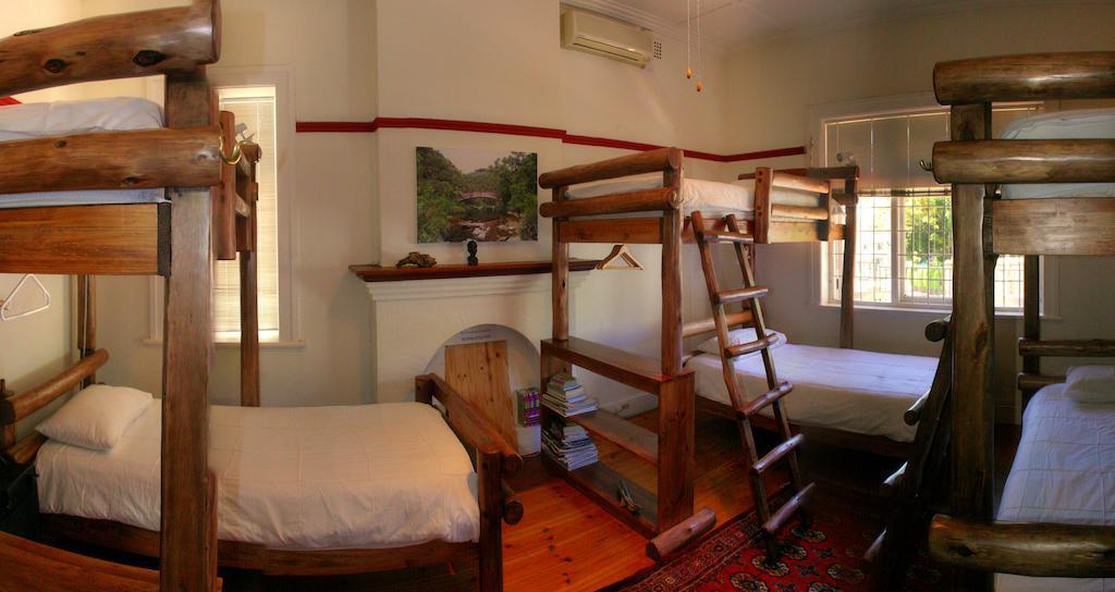 Amber Tree Hostel