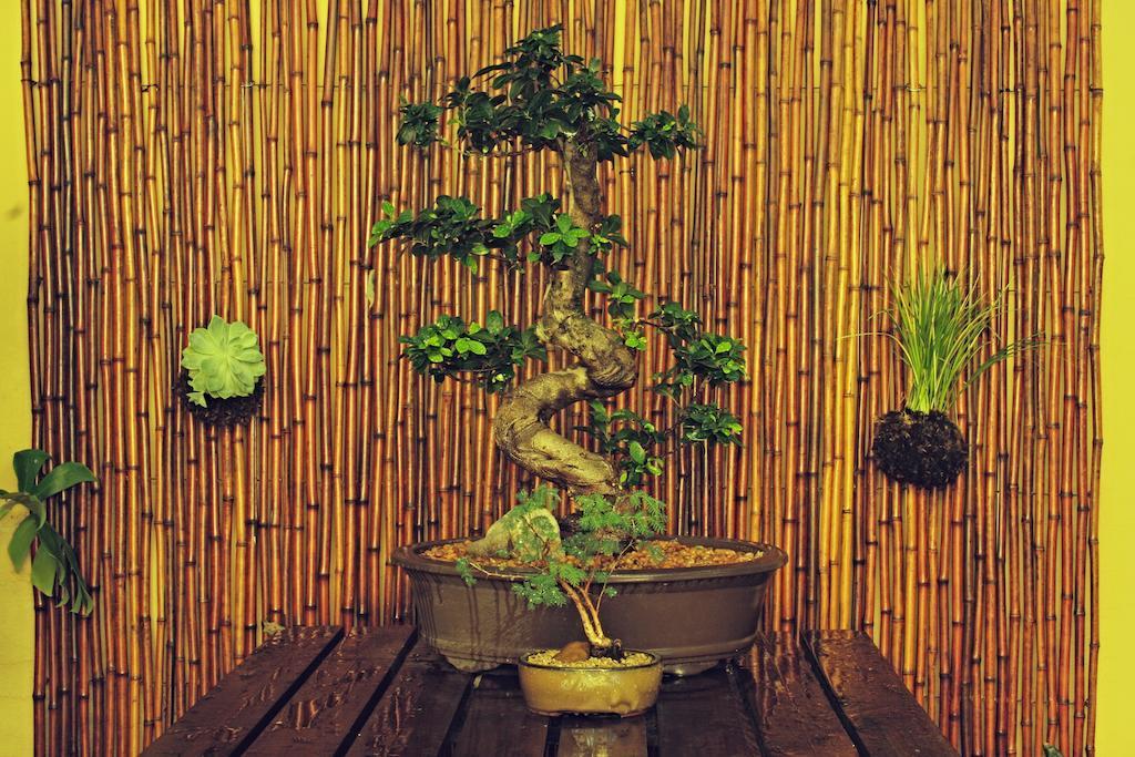 Hostel Amber Tree Cape Town