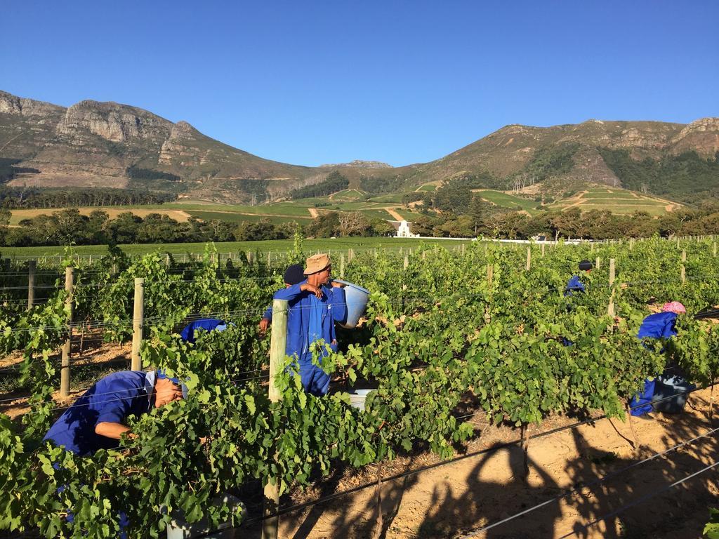 14 On Klein Constantia 5* Cape Town