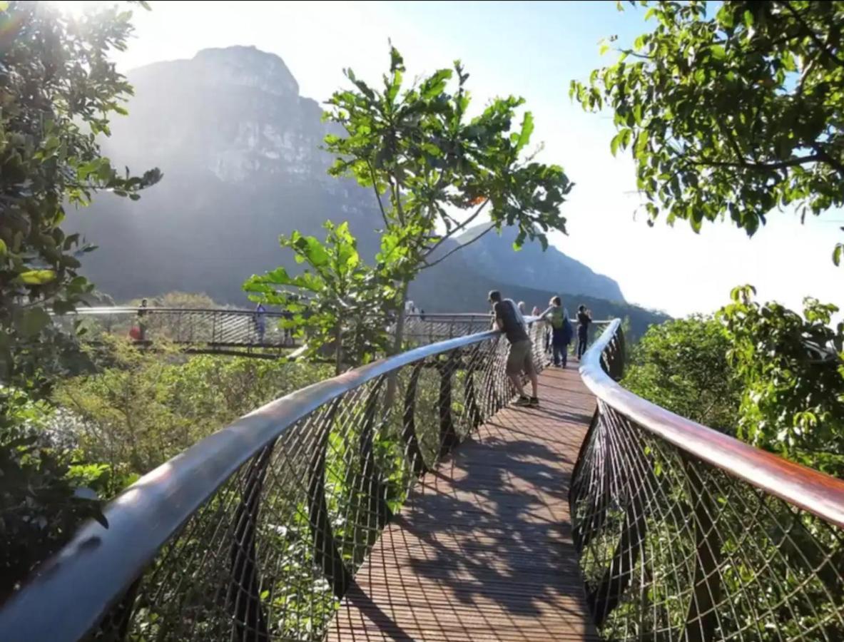 Homestay Artists Heritage Botanical Studio Cape Town