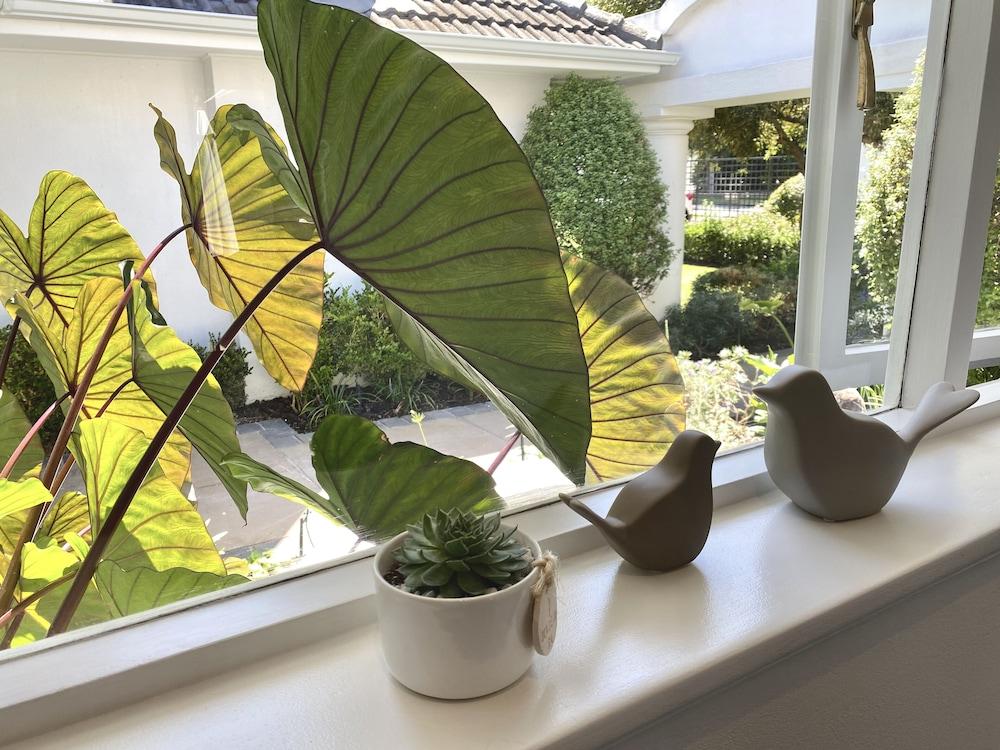 The Dongola Guest house Cape Town