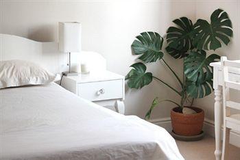 Apartment Sunshine Letting Cape Town