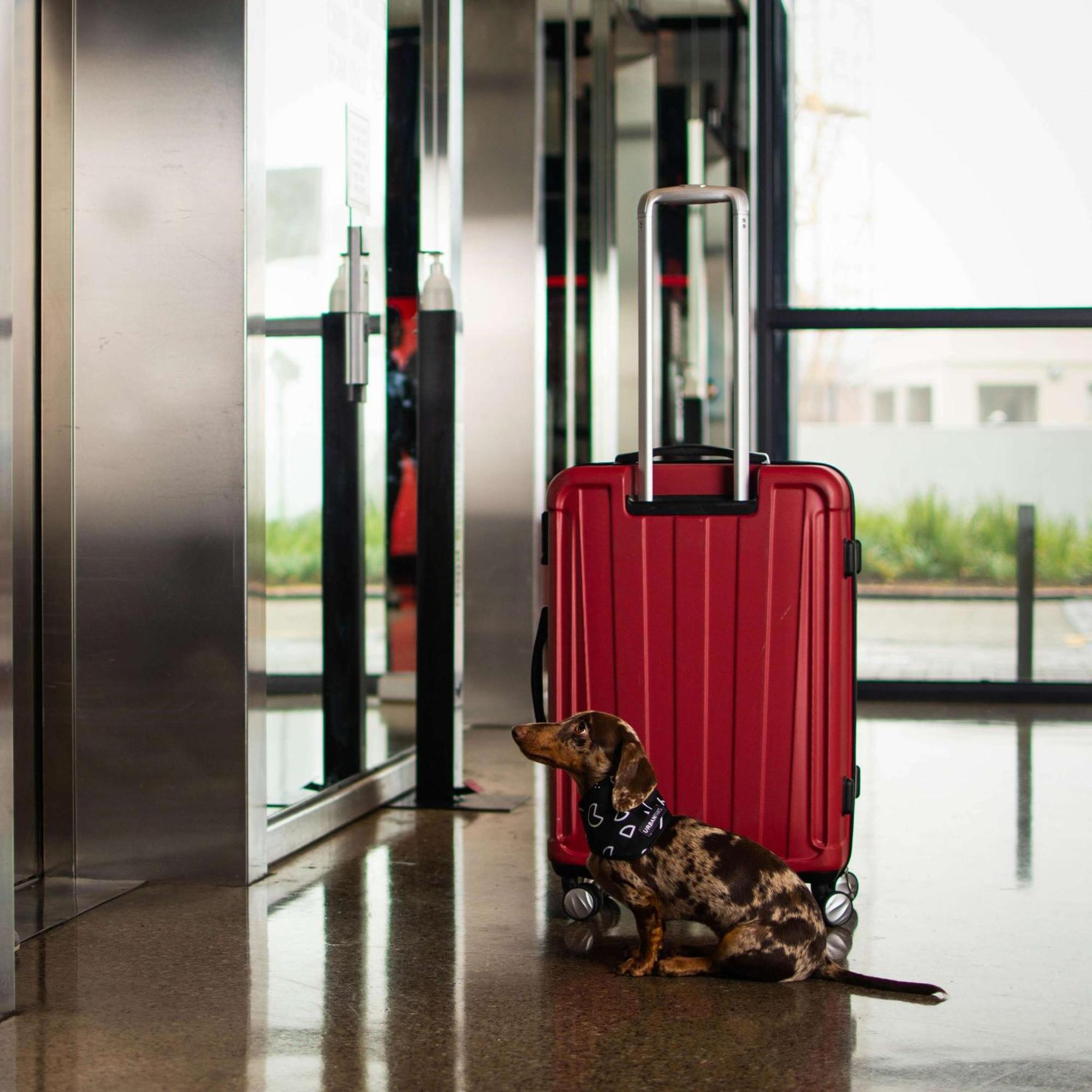 Radisson Red V&a Waterfront Cape Town