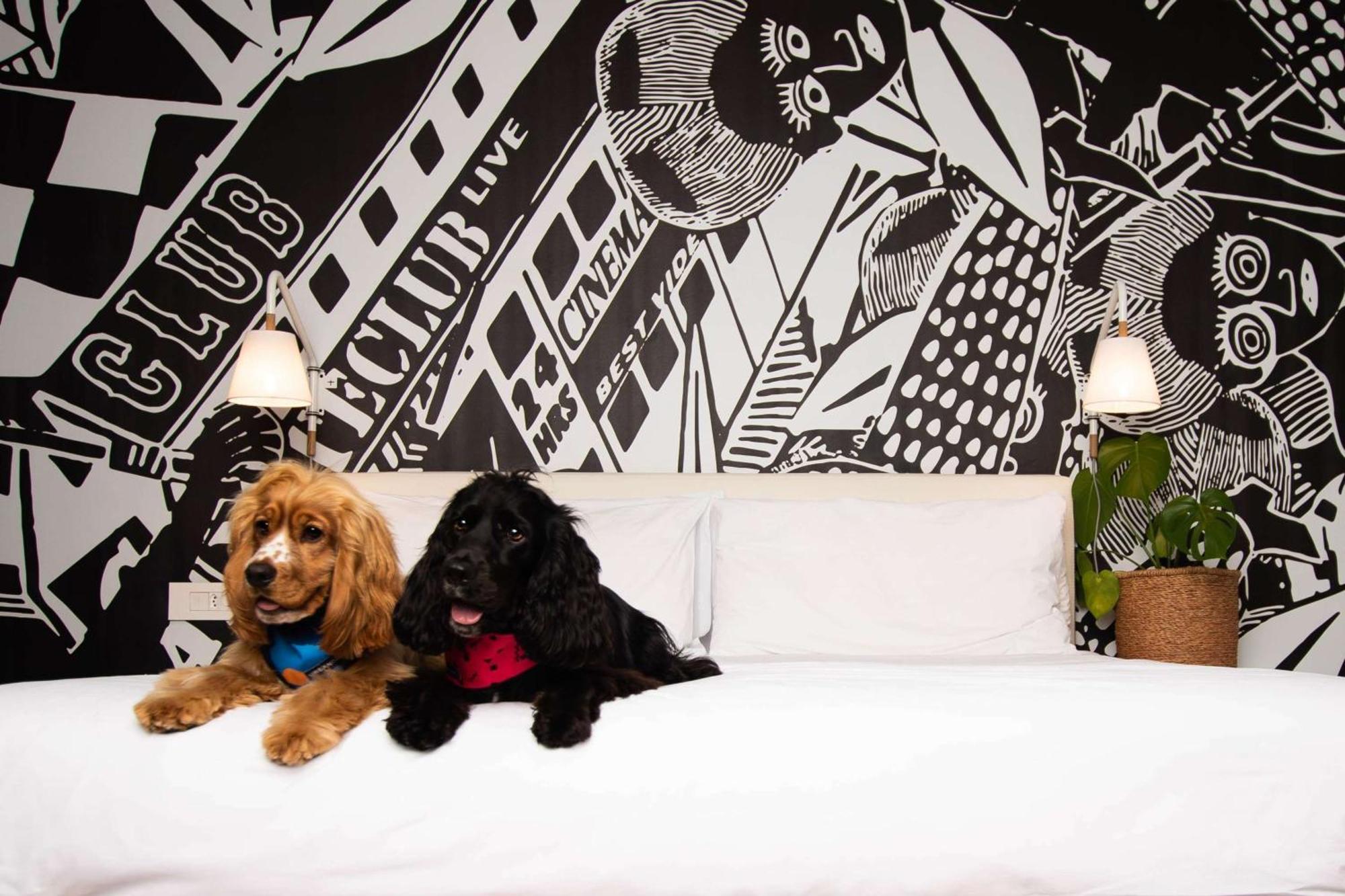 Radisson Red V&a Waterfront 3*