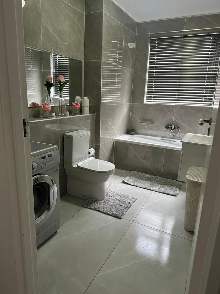 102 Palma Eyrie *